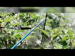SeNPV BT Natural Organic Pesticide Agricultural For Crop Protection