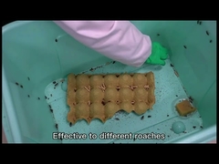 High Purity Cockroach Repellent Gel Household Drug Resistant