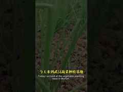 مزيج من جراثيم الجراثيم والفيروسات يمكن أن يسيطر بشكل أفضل على آفة البابيدوبتران