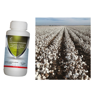 Special effect on helicoverpa armigera killing Unioasis biological preparation cotton pesticide