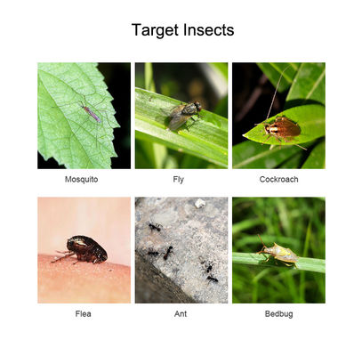 Qualified pesticide  1.5% pyrethrin control household mosquito flies flea easy to use