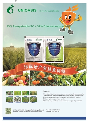 37% Difenoconazole WDG + 25% Azoxystrobin SC Nativo Fungicide For Rice Paddy