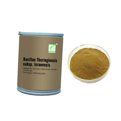 Bacillus Thuringiensis High Luring Fast Mosquito Larvae Insecticide Stockyards Slaughter House