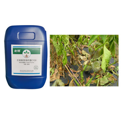 Increase Yield Improve Quality Prevent Leaf Mildew Fusarium Wilt CY30 Environmentally Friendly Fungicide