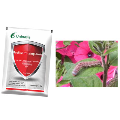 Cabbage Caterpillar Plutella Xylostella Killer Multi-use General Type Pesticide Bacillus Thuringiensis